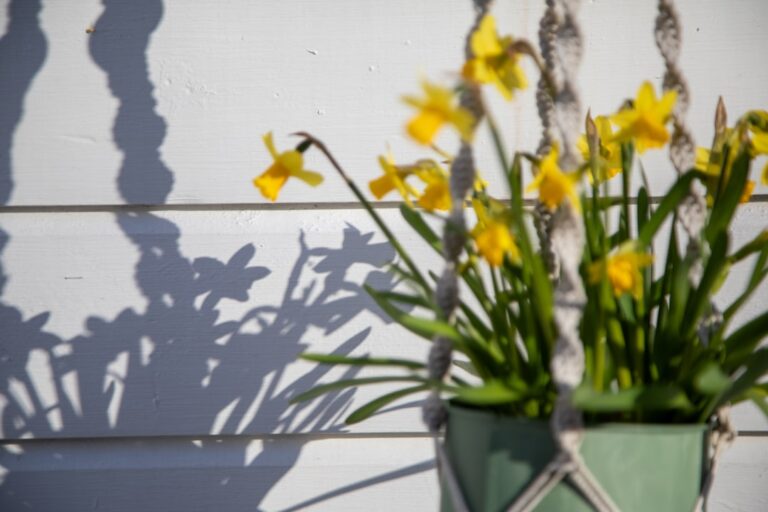 How to Incorporate Nature into Your Home Decor